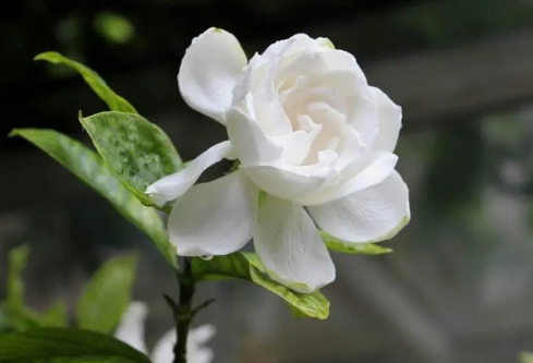 1688695267128983.png image.png