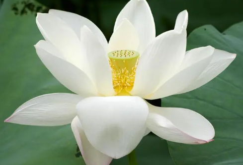 1688690602137163.png image.png