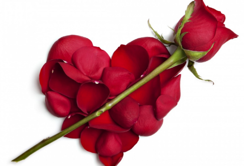 1688691602392535.png image.png