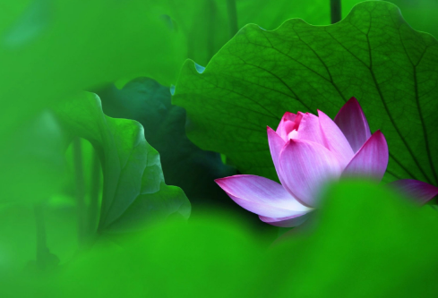 1688698767655804.png image.png