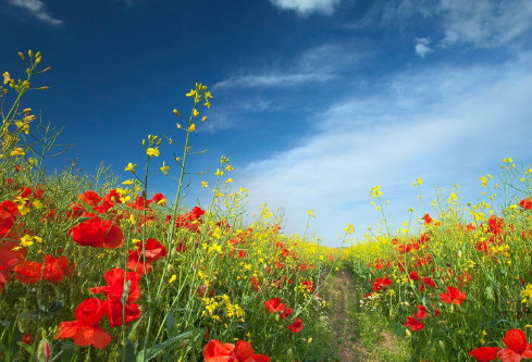 1688698933849447.png image.png