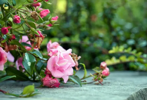 1688692602103194.png image.png