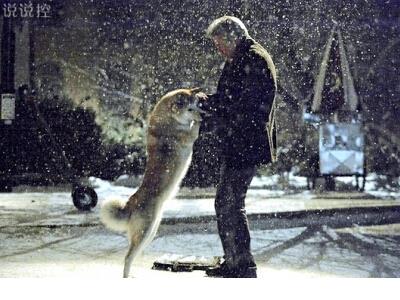 廉政格言警句100条