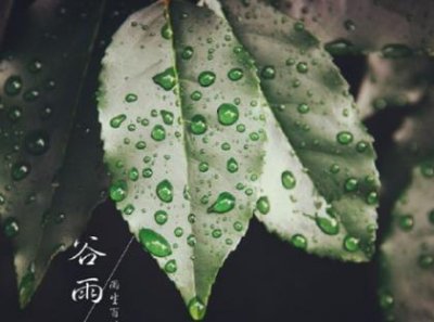 ​关于人生经历的名言警句[36条]