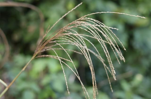 杀气很重的游戏名字 杀气很重的游戏名字