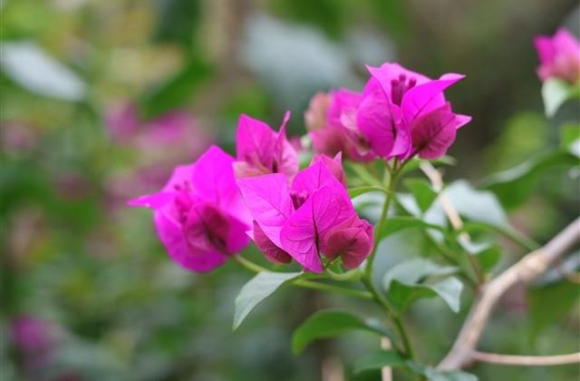 好听的网络游戏公会名字(精选288个) 好听的网络游戏公会名字(精选288个)