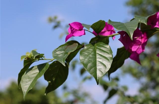 取名字最好听的字(精选名字140个) 取名字最好听的字(精选名字140个)