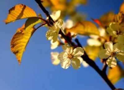 ​独一无二的两个字网名