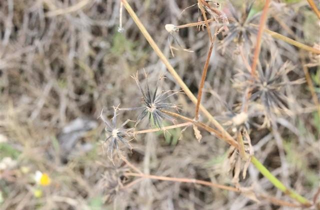 比较有个性经典网名 独特简单的网名(精选45个) 比较有个性经典网名 独特简单的网名(精选45个)