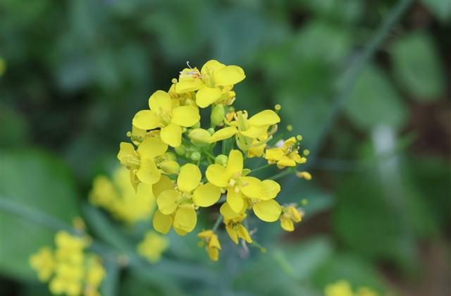 qq长点的伤感的网名(676个) qq长点的伤感的网名(676个)