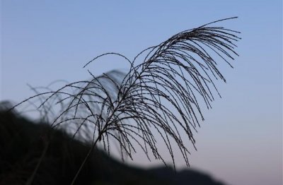 ​比较好听的2字id(优选1110个)