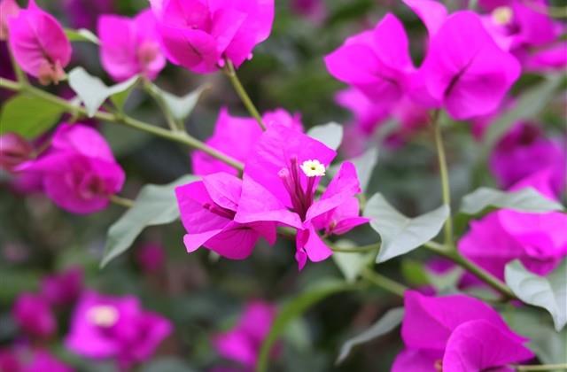 qq男生唯美网名(828个)