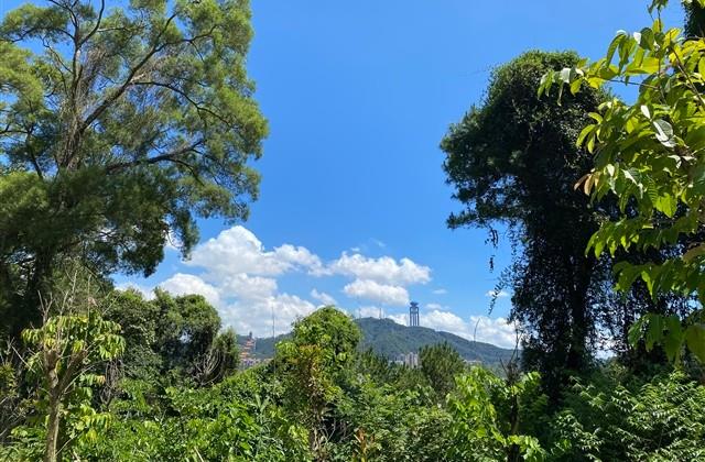 四字网名干净有寓意(优选847个)