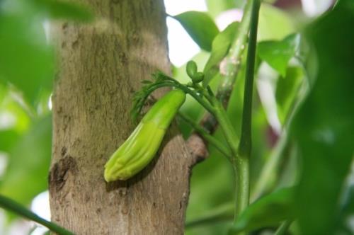 道德名言警句摘抄大全