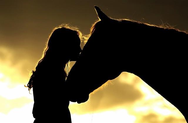 带英文唯美意境网名(共423个) 带英文唯美意境网名(共423个)