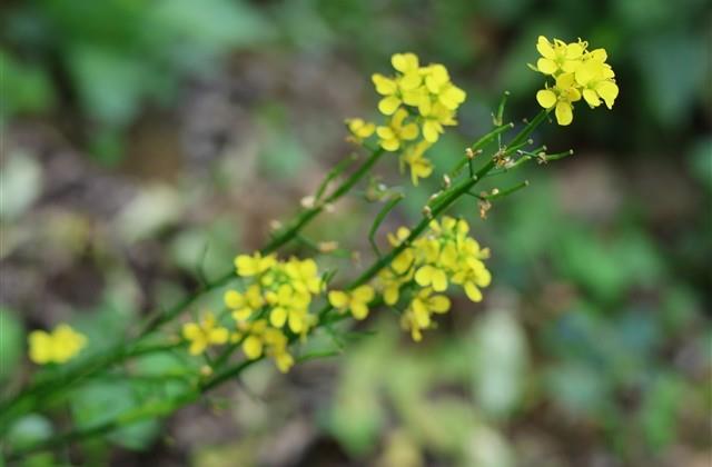 适合70后女人的网名大全(精选433个)