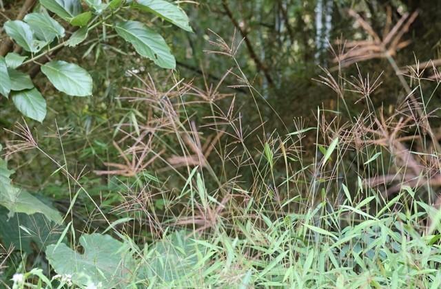 有创意逗比游戏名字(优选352个) 有创意逗比游戏名字(优选352个)