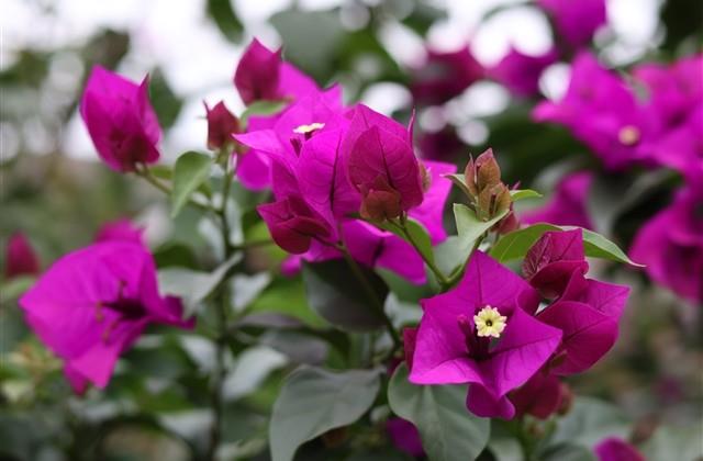 火星文情侣网名大全(共171个) 火星文情侣网名大全(共171个)