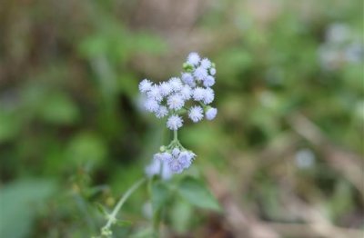 ​古风霸气伤感网名