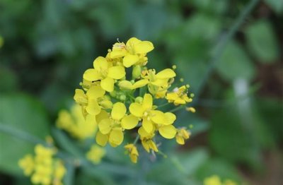 ​心里难过的微信名字(297个)