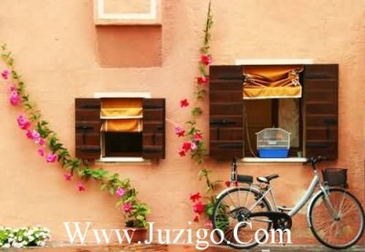 ​用节造句88句