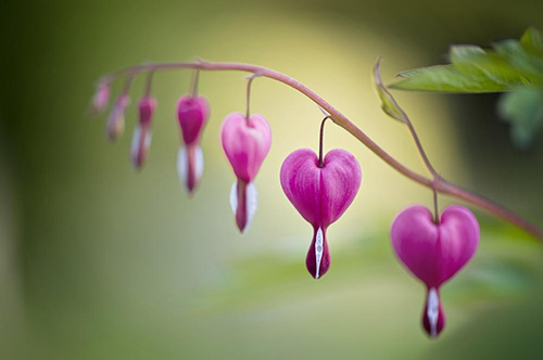 用当然造句94句