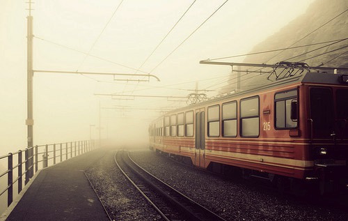 活动的造句100句