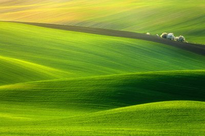 ​告诉的造句101句