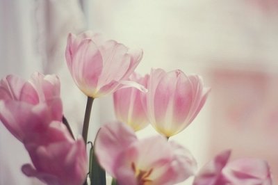 ​校园的造句101句