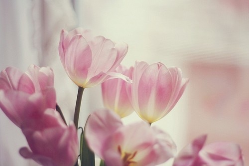 校园的造句101句