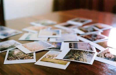 ​花香造句大全100句