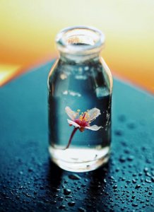 ​团结协作的名言警句(40句)