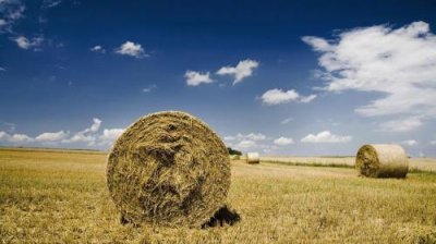 ​读书名言名句警句 名言警句摘抄大全