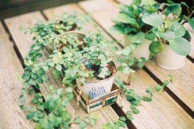 ​老师教育理念名言集锦[21条] (让孩子自己主动成长…)