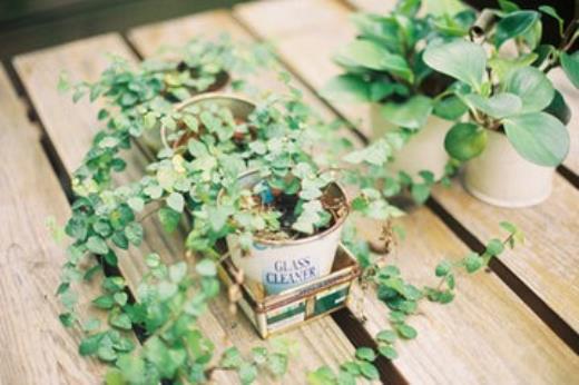 老师教育理念名言集锦