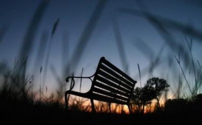 ​保护环境的名人事例100字以内