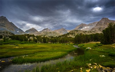 ​读书名人名言大全精选
