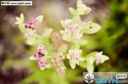 写一句有关谦虚的名言