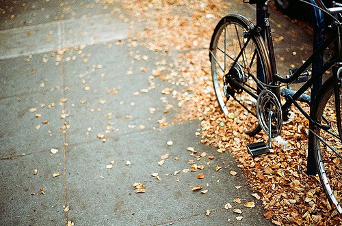 人生座右铭清新32句