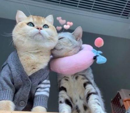 夏天的味道句子短句唯美