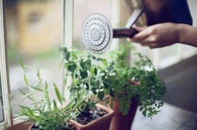 ​平心静气唯美句子(61句)