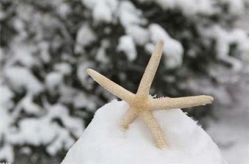 形容元宵节的唯美句子