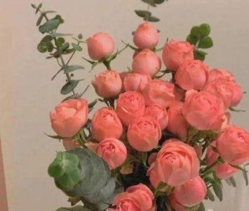 ​经典正能量励志句子68条