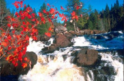 ​励志阅读的名言117句