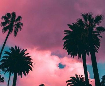 ​女生励志名言80句