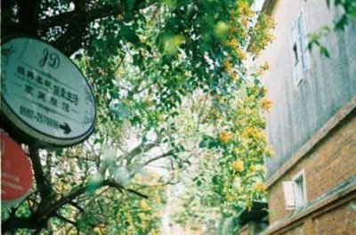 ​唯美爱情经典句子 关于爱情的句子经典(64句)