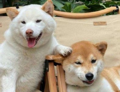 ​爱情唯美的句子大全 爱情中唯美的句子(62句)