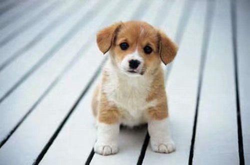 常用春天优美句子集锦74条