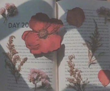 ​有关歌德的名人名言大全(精选79句)