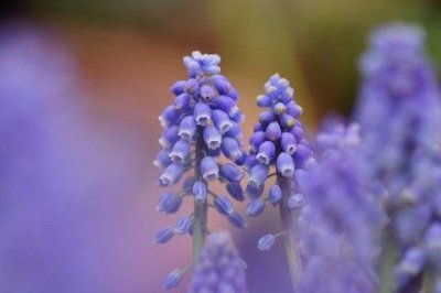 ​最好的伤感句子81句